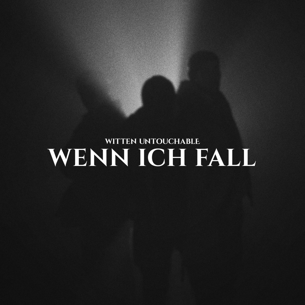 Wenn ich fall' (Explicit)