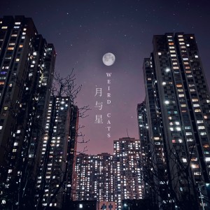 Album 月与星 from 怪猫乐队