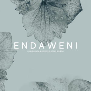 อัลบัม Endaweni (feat. Ntsiki Sishuba) ศิลปิน Dee Cee