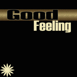 收聽Big Idol的Good Feeling (Sometimes I Get a Good Feeling)歌詞歌曲