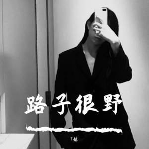 Listen to 辽中炸街（Remix） (Remix) song with lyrics from 7妹