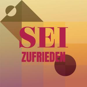 Listen to Sei Zufrieden song with lyrics from Roland Trio