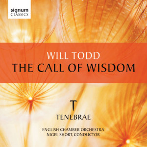 ดาวน์โหลดและฟังเพลง You Have Seen the House Built พร้อมเนื้อเพลงจาก Tenebrae