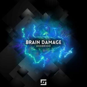 ดาวน์โหลดและฟังเพลง Brain Damage พร้อมเนื้อเพลงจาก Herbrido