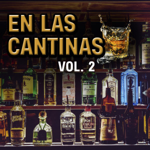 Listen to Las Borracheras song with lyrics from Lupe Y Polo