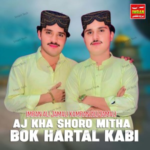 收聽Imran Ali Jamali的Aj Kha Shoro Mitha Bok Hartal Kabi歌詞歌曲