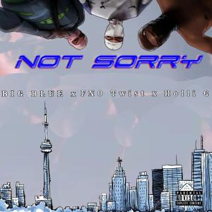Big Blue的專輯Not Sorry (Explicit)