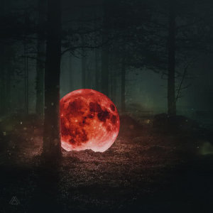 收聽Maktub的Voice Of The Forest (Instrumental)歌詞歌曲