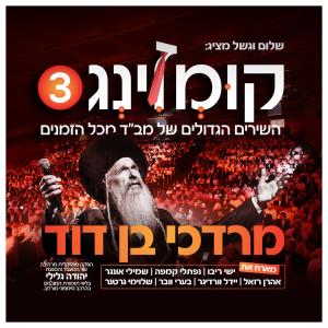收聽Hamenagnim的B'inyan Ha'simcha - בענין השמחה歌詞歌曲