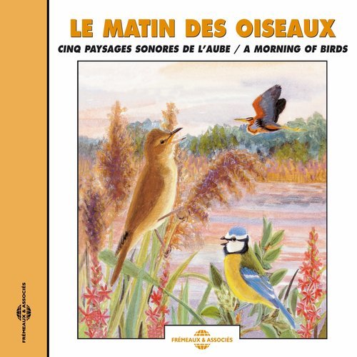 Renard, Chouette Hulotte, Sanglier
