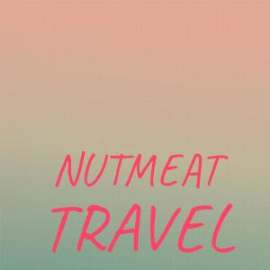 Various的专辑Nutmeat Travel