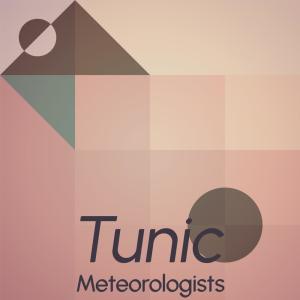 Listen to Tunic Meteorologists song with lyrics from Quino Misse
