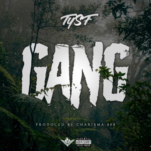 ดาวน์โหลดและฟังเพลง Gang (Explicit) พร้อมเนื้อเพลงจาก TYSF