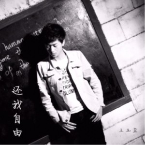 Listen to 还我自由 song with lyrics from 王玉玺