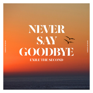 THE SECOND from EXILE的专辑NEVER SAY GOODBYE