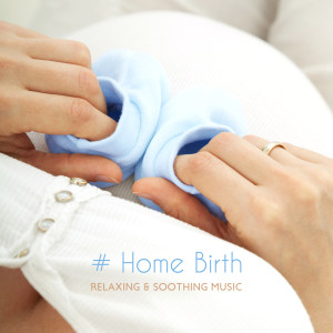 Dengarkan Birds Song for Baby lagu dari Hypnobirthing Oasis dengan lirik