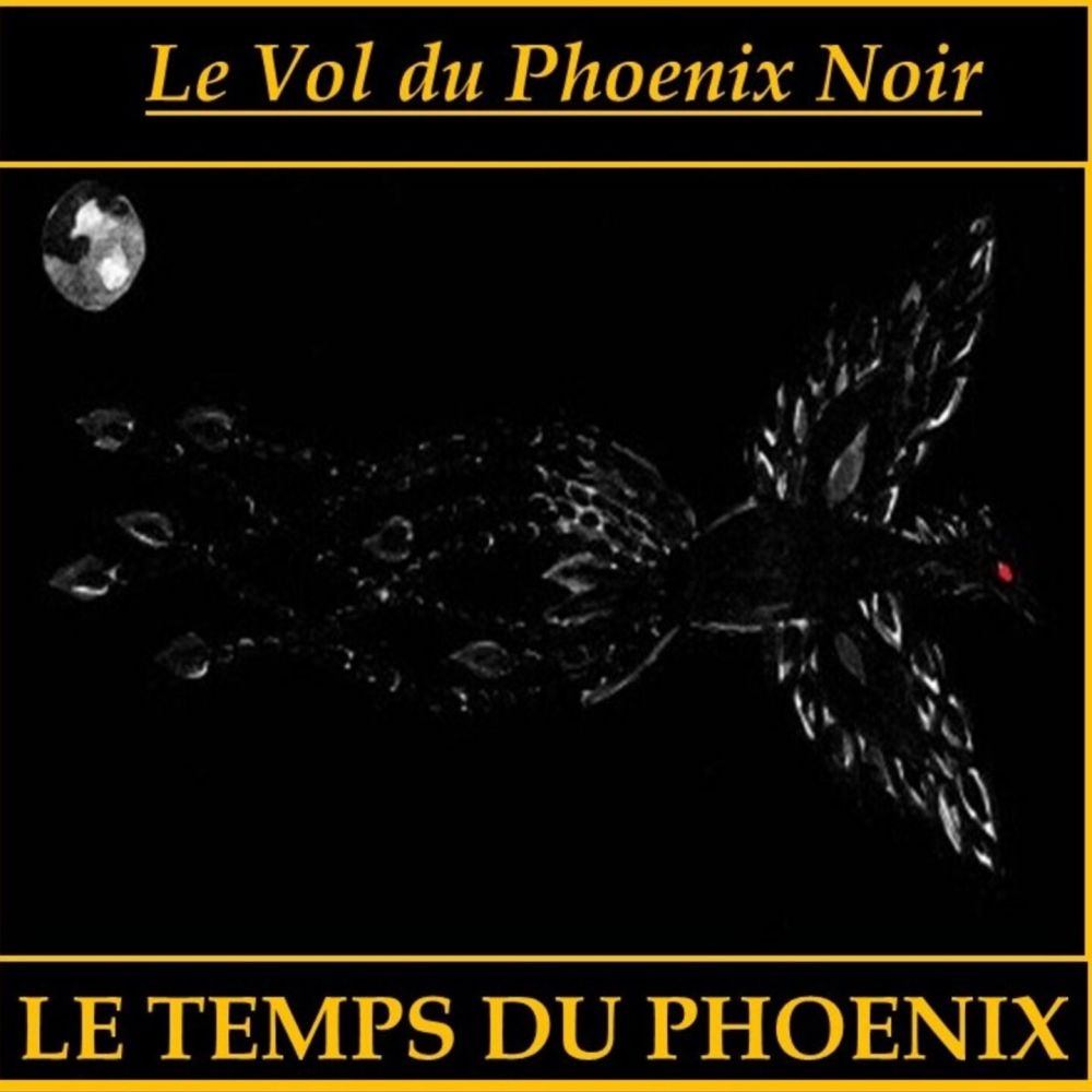 Le Vol du Phoenix Noir (Le temps du phœnix)