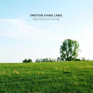 Album New age suitable for light exercise and walking from Various Artists