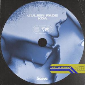 Dengarkan Say U Wanna (Extended Mix) lagu dari Julien Fade dengan lirik