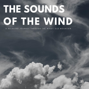 The Sounds Of The Wind: A Relaxing Journey Through The Windy Old Mountain