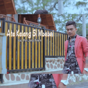 Dengarkan Ate Keleng Si Mbabai lagu dari Peri Jonta Pinem dengan lirik