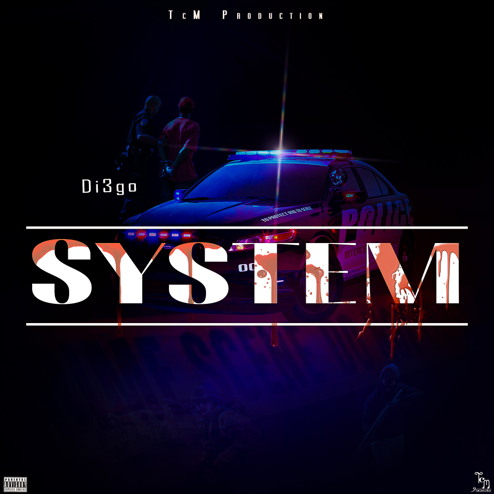 System