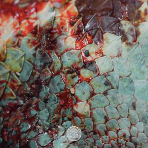 Dengarkan lagu Gozar nyanyian Safir dengan lirik