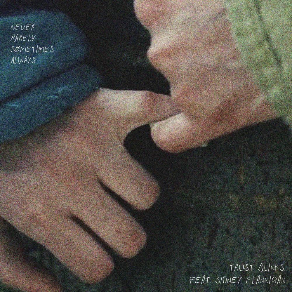 Never Rarely Sometimes Always (Acoustic Demo)
