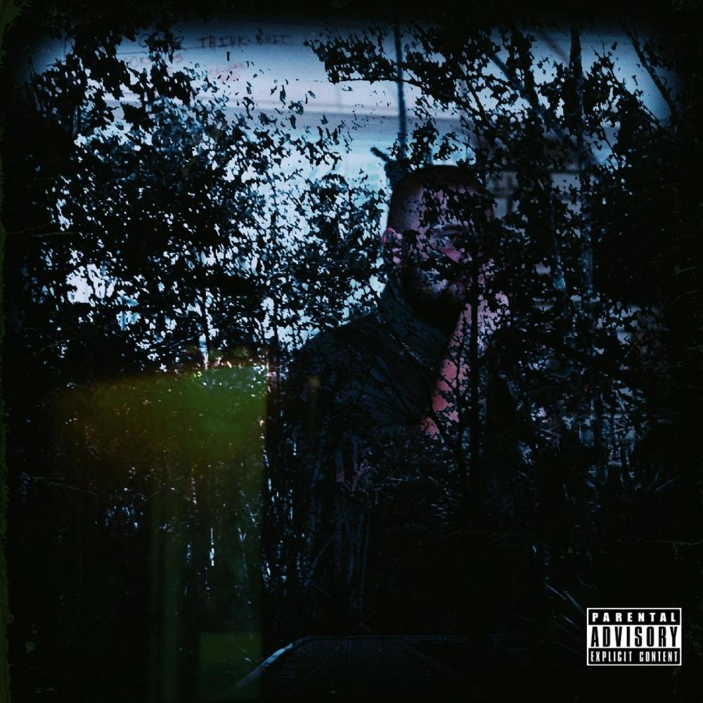 I Feel Like Disappearing (Explicit)