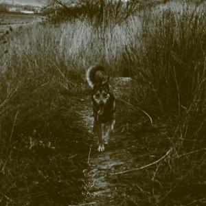 收聽Miguel Garcia的Apareces歌詞歌曲