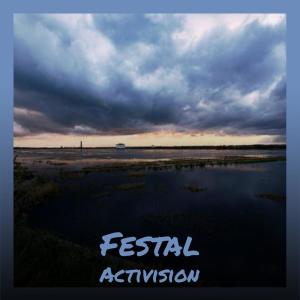 Album Festal Activision from Various
