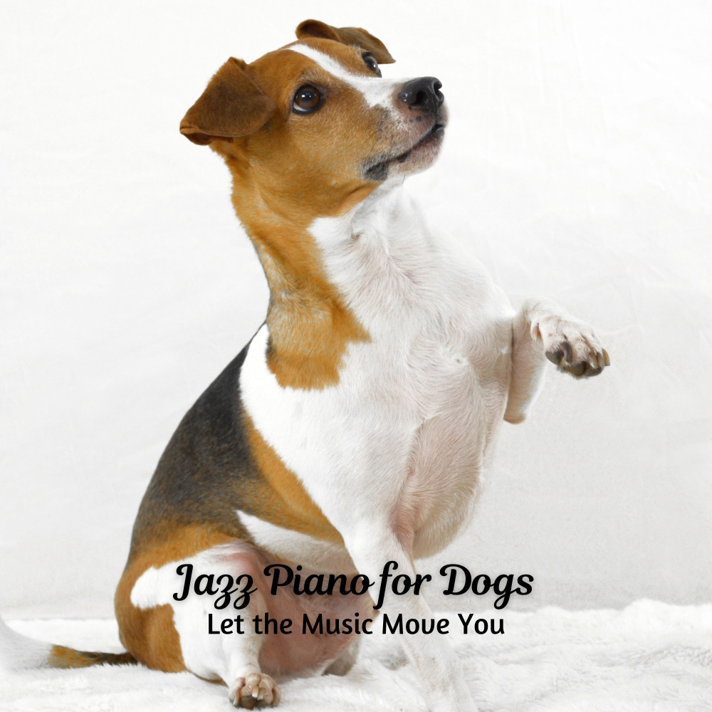 Grooving Hounds Canine Jams