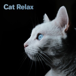 Music For Cats的專輯Cat Relax