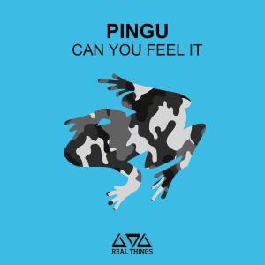 Dengarkan Can You Feel It (Instrumental Extended Mix) lagu dari Pingu dengan lirik