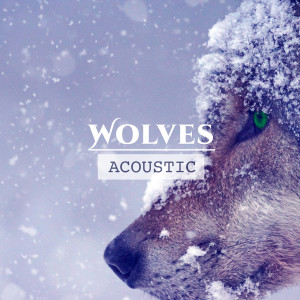 收聽Matt Johnson的Wolves (Acoustic)歌詞歌曲