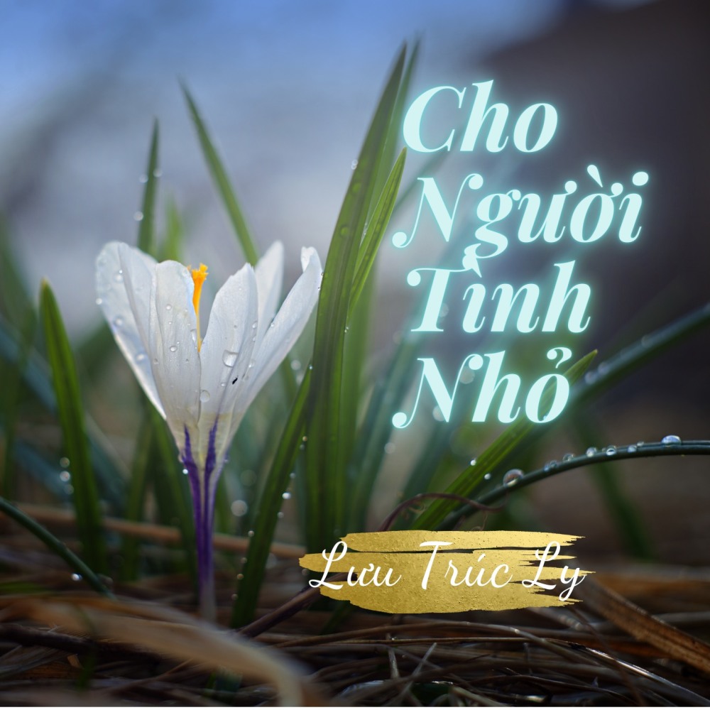 Cho Người Tình Nhỏ