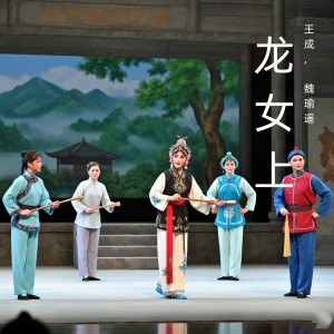 Album 龙女上 (黄梅戏) from 王成
