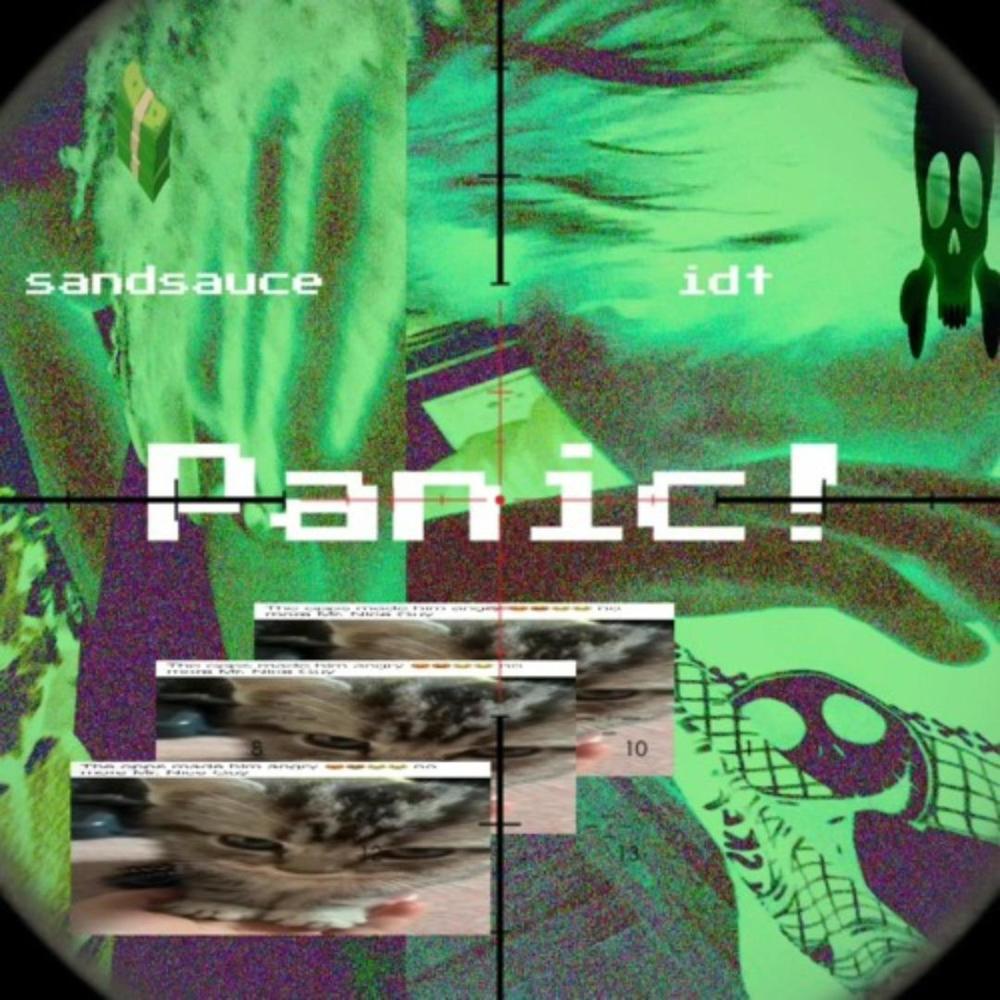 Panic! (feat. idt) (Explicit)