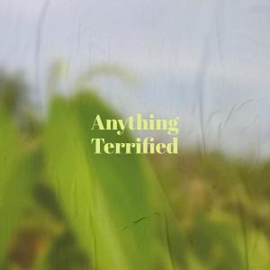 Album Anything Terrified from Various