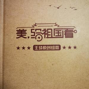 Album 美，给祖国看 from 王琦