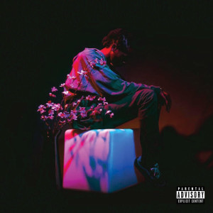 ดาวน์โหลดและฟังเพลง Bad Apples (Explicit) พร้อมเนื้อเพลงจาก Kevin Durham