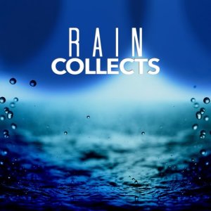 Rain Sounds Ambience的專輯Rain Collects