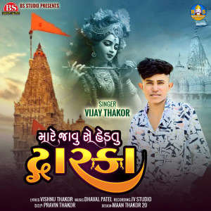 Album Mare Javu Se Hedtu Dwarka from Vijay Thakor