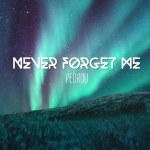 收聽Pedrou的Never Forget Me歌詞歌曲