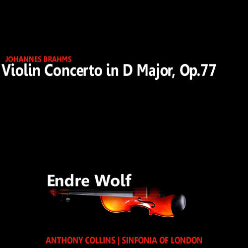 Violin Concerto in D Major, Op. 77: I. Allegro ma non troppo