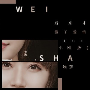 Album 后来才懂了爱情  (DJ小刚版) from 唯莎