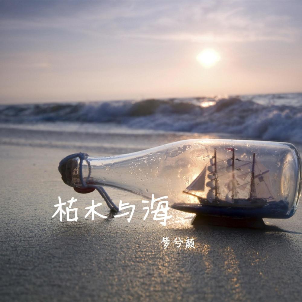 枯木与海 (DJ伴奏)