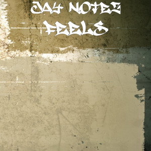 ดาวน์โหลดและฟังเพลง Feels พร้อมเนื้อเพลงจาก Jay Notez