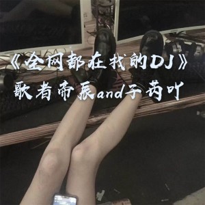 Album 全网都在找的DJ from 子芮吖