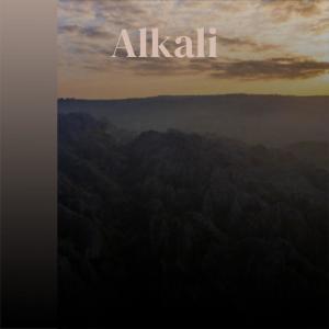 Album Alkali from Various
